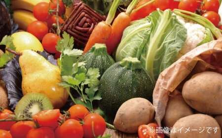 【令和7年度産】 熊本県（七城）産のお米と熊本県産の野菜ときのこ お米（2kg）・野菜＆きのこ（7～8品） 精米 単一原料米 ひのひかり   ジャガイモ ニンジン シイタケ 【2025年11月上旬発送