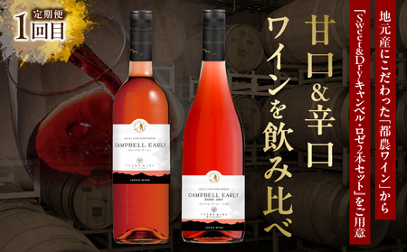 ≪定期便≫＼1か月に2回お届け!!／都農ワイン×ロースステーキ★最強コンビ 肉 牛肉 酒 飲料 国産_T999-004【人気 ワイン ロースステーキ ギフト ワイン ロースステーキ 食品 ワイン ロー