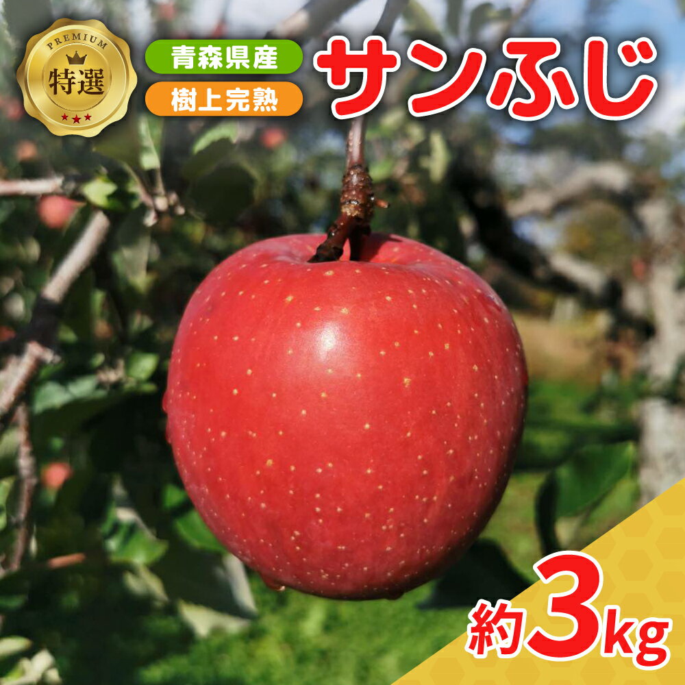【ふるさと納税】【楽天限定】 りんご 《 先行予約 》 サンふじ 約 3kg 特選　樹上完熟 ( 配送時期が選べる 12月 上旬/中旬/下旬) / 林檎 アップル 贈答 秋 旬 果物 くだもの フルーツ 5キロ 贈り物 ギフト 年内配送 年内発送 青森県 五所川原市
