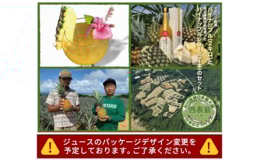 2025年 先行予約 セット 熟鮮パイン2kg （2玉） と甘さをぎゅっと詰め込んだ100％ パイナップルジュース 1本 大きさ不揃い パイン 果物 フルーツ