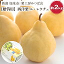 【ふるさと納税】【2024年】新潟特産 幻の洋梨ル・レクチェ 【贈答用】2Kg（5〜7玉）《11月下旬以降発送》果物 フルーツギフト 秋の味覚 加茂市 梨工房みつば会