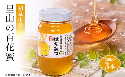 
            道の駅で大人気のハチミツ(300g瓶詰×3本)【1657834】
          