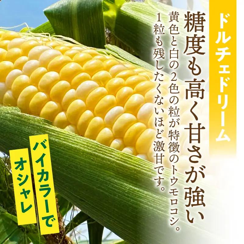 とうもろこし『ドルチェドリーム』（6本入／1箱）2セット・H124