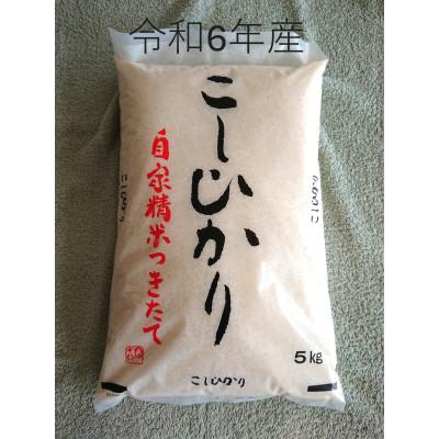 ふるさと納税 鉾田市 令和6年産　厳選　茨城県産コシヒカリ　精米5kg