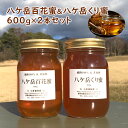 【ふるさと納税】八ヶ岳百花蜜＆八ケ岳くり蜜600g2本セット　【蜂蜜・はちみつ】