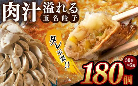 タレ不要? 肉汁 溢れる『 玉名餃子 』 180個 （30個×6袋）| 餃子 ぎょうざ お手軽 小分け 冷凍 冷凍食品 おかず 豚肉