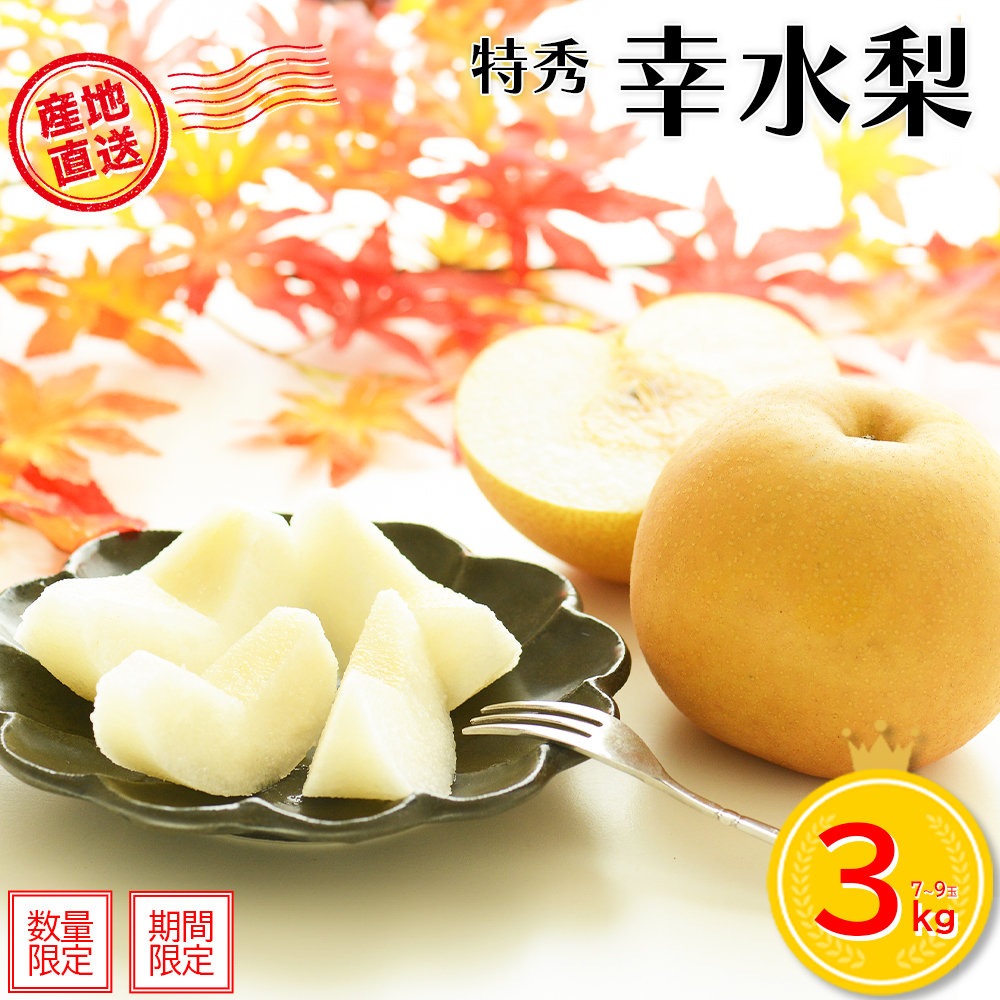 【先行予約】＜蔵王町産＞【特秀】幸水梨3kg箱詰め　【04301-0603】