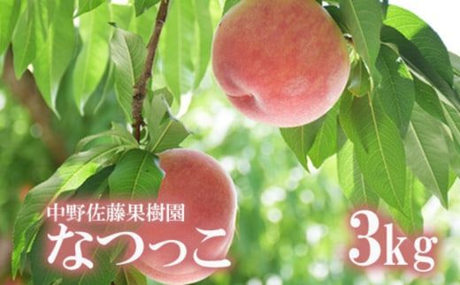 【ふるさと納税】No.2208 もも「なつっこ」約3kg【2025年発送】