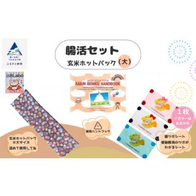 ふるさと納税 小松市 腸活セット 玄米ホットパック(大)