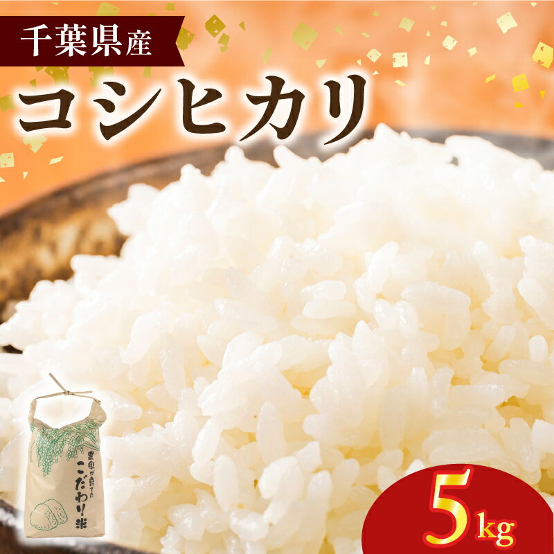 【ふるさと納税】 米 コシヒカリ 千葉県産 5kg 新米 令和7年産 先行予約 国産 国産米 日用品 お米 精米 白米 こめ コメ 予約 千葉県産米 料理 おにぎり 早場米 農家 家庭用 ギフト 贈答 贈り物 送料無料 ふるさと納税 千葉県 銚子市 サンズファーム 【9月中旬頃発送予定】