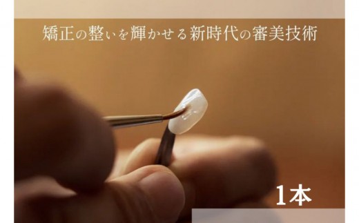 ブラックフィルム施術券(１本)