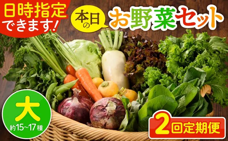 【２回定期便】日時指定OK！本日のお野菜セット （大サイズ/約15～17種） 4人以上用 /  野菜 朝どれ 有機栽培 産地直送 新鮮 旬 詰め合わせ サラダ 果物 きのこ類 やさい 送料無料 定期便 2ヶ月【オーガニックのまち 宮崎県綾町】＿A0053-010