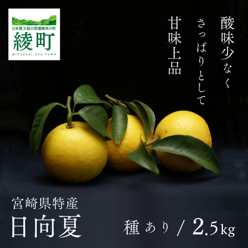 初春の旬「日向夏」種あり2.5kg【先行受付】