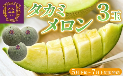 タカミメロン 3玉【5月下旬～7月上旬頃発送】　メロン工房 川上　メロン タカミ 貴味 青肉 フルーツ 果物 2026年 おすすめ 甘い 糖度 贅沢 みずみずしい ジューシー 肉厚 期間限定 数量限定 季節限定 国産 房総 千葉県 富津市 メロン工房 川上