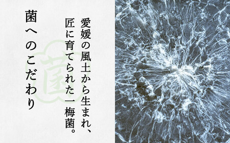 一梅酢 四国のおいしい手造り酢６本セット お得 セット プロの味 国産 国内製造 酢の物 南蛮漬け 和え物 合わせ酢 焼肉 タレ