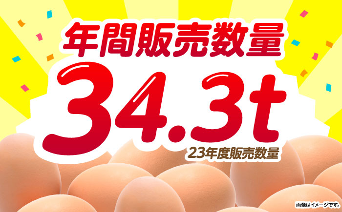 産直枇杷たまご 5kg / 卵 たまご 鶏卵 国産 玉子 枇杷 / 諫早市 / 長崎県養鶏農業協同組合 [AHCX003]