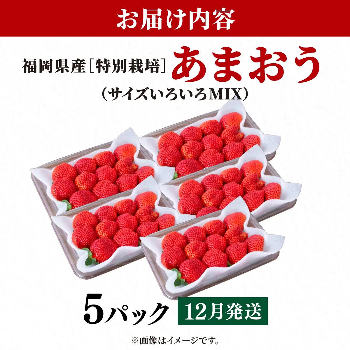 いちご 福岡県産 特別栽培 あまおう サイズいろいろMIX 約1425g（約285g×5パック）【12月発送】