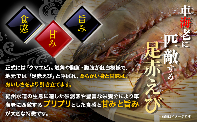 【先行予約】紀州和歌山産天然足赤えび 540g×2箱(270g×4パック) 化粧箱入 魚鶴商店《2025年11月上旬-2月上旬頃出荷》和歌山県 日高町 足赤えび えび エビ(f-1)