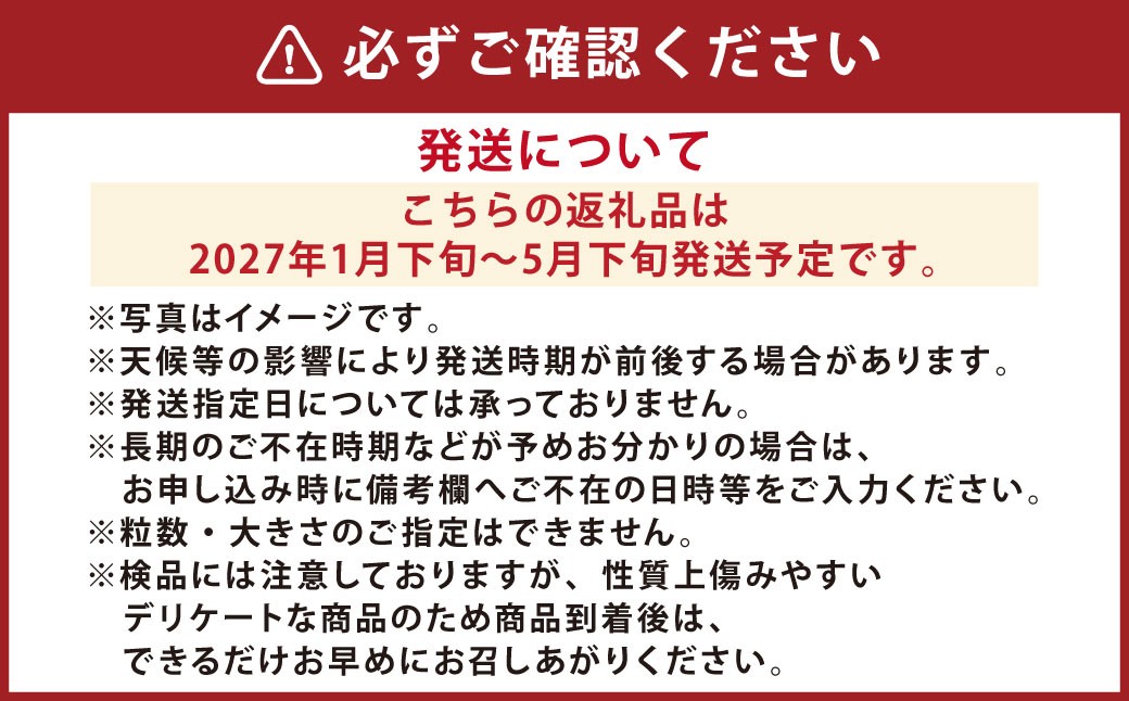 『まるで太陽の恵みをそのまま閉じ込めたような真っ赤な大玉トマト』約4kg