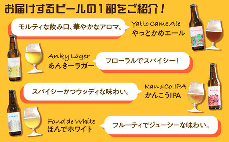 【毎月定期便】クラフトビール　季節のおすすめ6本セット　全6回【配送不可地域：離島】【4061195】