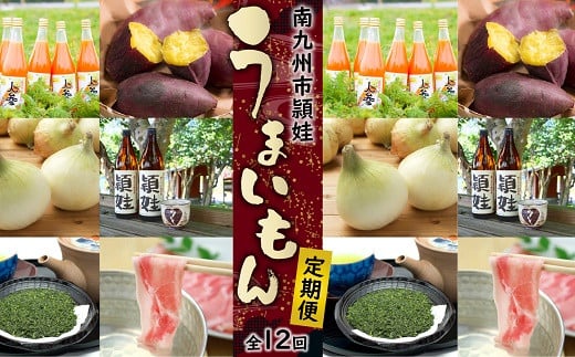 【全12回】南九州市頴娃うまいもん定期便 MK-UE