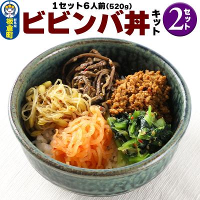 ふるさと納税 板倉町 ビビンバ丼キット(2セット)|13_mry-010201