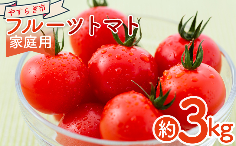 【2026年1月以降発送】フルーツトマト 3kg 家庭用 - 国産 青果 野菜 トマト 訳あり ご家庭用 甘い 酸味 不揃い 傷 やすらぎ市 高知県 香南市 冷蔵 yr-0068