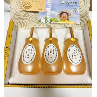 ふるさと納税 大野町 岐阜県産　百花みつ　250g　×3本セット |  | 03