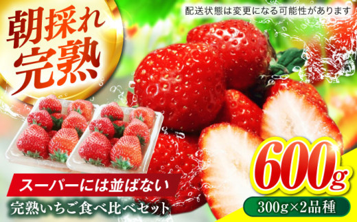 いちご 岐阜県産いちご 食べ比べ セット 完熟 苺 おいしい 美味しい イチゴ ストロベリー 果物 フルーツ 旬 甘い ジューシー デザート 2品種 詰め合わせ かおり野 ほしうらら スターナイト 恋みのり 紅ほっぺ おいCベリー ベリーポップすず ギフト プレゼント 贈り物 贈答 お返し 内祝い お祝い おすすめ 人気 岐阜市 / セイントベリー [ANFX001]