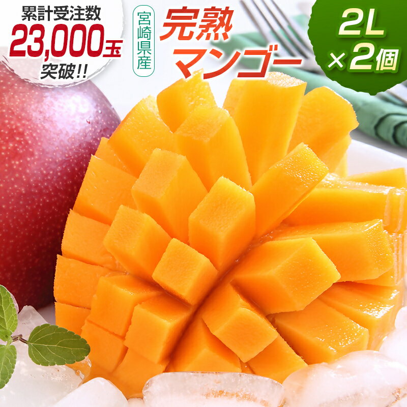 【ふるさと納税】宮崎県産 完熟マンゴー2L×2個 西都市産品【数量限定】 西都市産＜1.2-39＞ 人気 さいと サイト ふるさと 宮崎 先行予約 果物 フルーツ