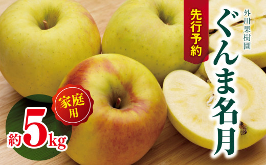 家庭用 ぐんま名月 約5kg 【2026年先行予約】｜ 外川果樹園 リンゴ りんご 林檎 果物 フルーツ 果実 果汁 ぐんま名月 ぐんまめいげつ 家庭用 長野県 松川村 信州