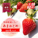 【ふるさと納税】いちご「あまおとめ」 (250g×4トレイ・パック) 期間限定 数量限定 イチゴ 苺 宮崎県産 宮崎県産いちご 果物 フルーツ 果実 スイーツ デザート ブランド 交配品種 高糖度 大粒 甘め 甘い 香り ジャム アレンジ 宮崎県 宮崎市 送料無料