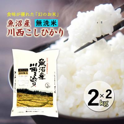 ふるさと納税 十日町市 【無洗米】新潟県魚沼産　川西こしひかり2kg×2　令和8年産米