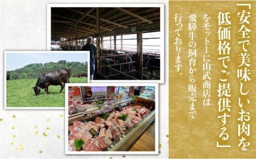 【3月発送】飛騨牛 ロース ステーキ 200g×2枚 2人前 ロースステーキ  霜降り 牛肉 黒毛和牛 和牛 国産牛 サーロインステーキ 高級肉 飛騨高山 山武商店  LZ017VC03