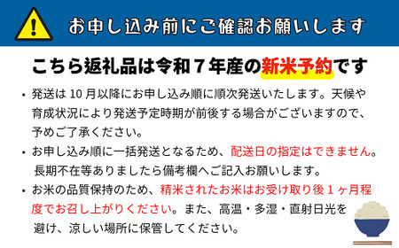 【先行予約】[令和７年産] 奥信濃飯山～木内ファームのお米～ つきあかり 精米 10㎏ (7-13A)