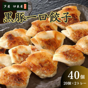 【ふるなびWEEK対象】芦屋 伊東屋 謹製 黒豚 一口餃子 40個（醤油タレ 付き）【餃子 ぎょうざ ギョーザ 中華 点心 惣菜 おかず おつまみ 冷凍総菜 ジューシー 鹿児島産 黒豚 国産豚 豚肉 もちもち皮 肉汁たっぷり 冷凍 イトー屋 お取り寄せ ギフト お中元 お歳暮】FN-Limited-PR