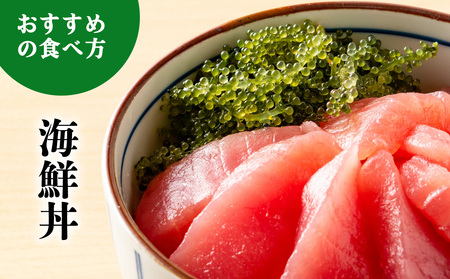 【2026年発送】宜野座村の海ぶどう（100g×5パック） うみぶどう ウミブドウ ぷちぷち プチプチ グリーンキャビア クビレズタ シーグレープ はじける 弾ける 食感 爽やか 磯の香り 海藻 新鮮