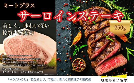 
                  【ミートプラス】佐賀牛 サーロイン ステーキ 250g×1枚
                