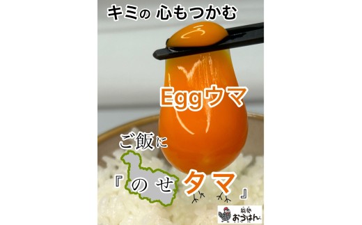 「さぁ!ご飯にのせ玉子」モノクロ鶏の極上個性たまご50個 | 能勢おうはんのたまご | 小谷養鶏場 | 純国産鶏 純国産玉子 岡崎おうはん 濃厚 新鮮 生食 卵かけご飯 お取り寄せ | 大阪府 能勢町 送料無料