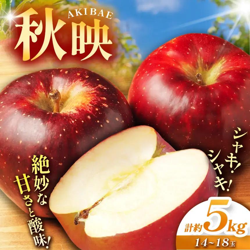 【2026年先行予約】信州産 塩尻エールりんご！ 秋映 約5kg (14～18玉) 【9月末頃～10月下旬頃にかけて順次発送予定】訳あり