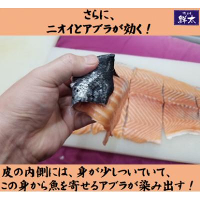 ふるさと納税 湖西市 釣りエサ用「鮭の皮」フリーカット約800g(深海・中深海釣りなど)お好きなサイズにカットしてください |  | 02