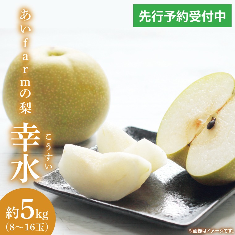 【先行予約】【数量限定】あい farm の梨 幸水 5kg (8～16玉) | 8月中旬より順次発送 梨 なし フルーツ 果物 新鮮 旬 梨園 益子町産 (DQ001)