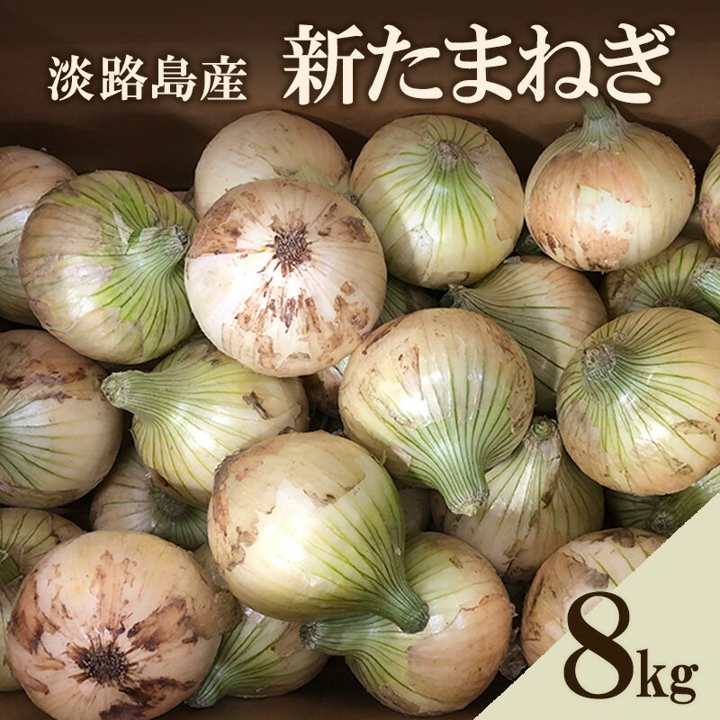 【ふるさと納税】淡路島産 新たまねぎ 8kg 新玉ねぎ タマネギ 甘い 野菜 玉ねぎ 旬の野菜 季節の野菜 兵庫県 洲本市 淡路島　お届け：2026年3月上旬～2026年5月末