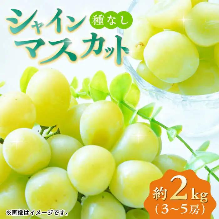 【先行予約】シャインマスカット 約2kg （3から5房） ぶどう 種なし【合同会社 福福堂】[ZCN008]