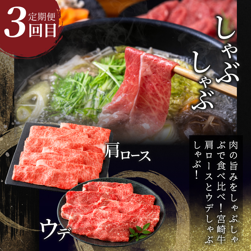 3か月お楽しみ定期便『宮崎牛よくばりセット』総重量2.4kg_T030-021【肉 牛 牛肉 おかず 国産 人気 ギフト 食品 すき焼き しゃぶしゃぶ 焼肉 BBQ 送料無料 プレゼント】