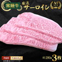 【ふるさと納税】No.460 【常陸牛】A5ランク厳選サーロイン（ステーキ用）約250g×3枚＜茨城県共通返礼品＞ ／ お肉 牛肉 赤身 キャンプ バーベキュー BBQ お祝い 御祝 送料無料 茨城県