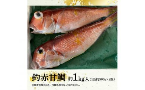 『釣赤甘鯛 Ａ』_鮮魚さかな九州宮崎川南町新鮮魚介海の幸魚介類たい送料無料魚介 [G4405]