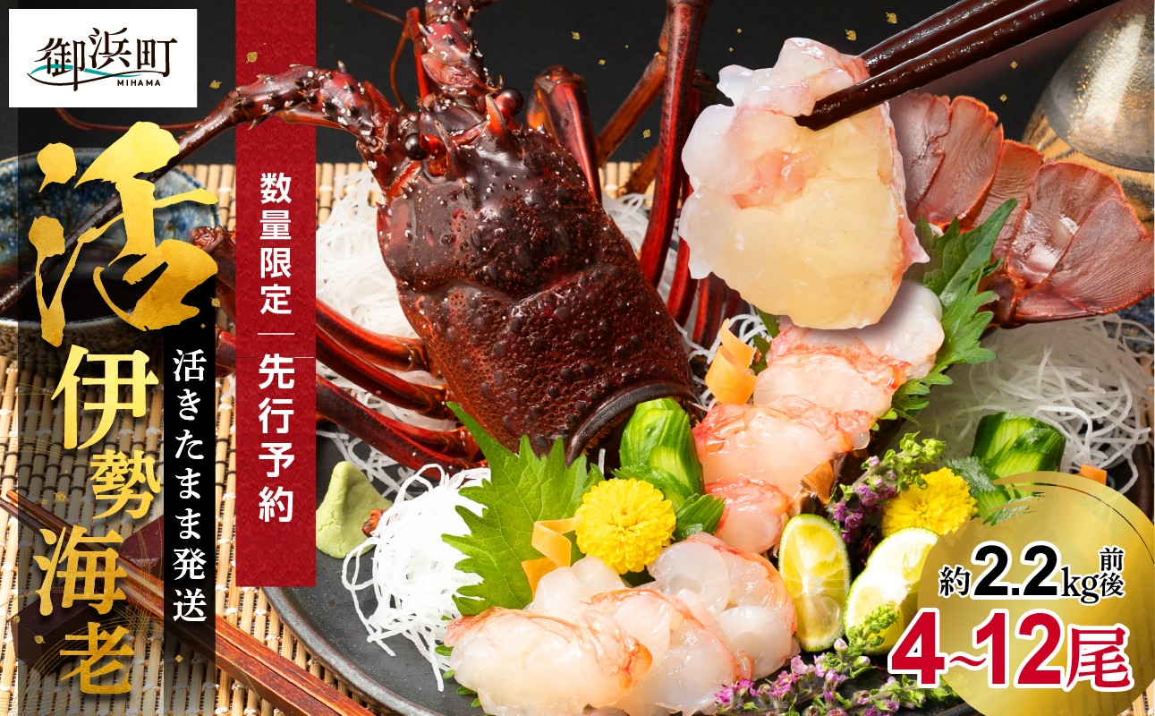 
            文恵丸水産の熊野灘産活伊勢海老　大漁コース 4～12尾 約2.2kg前後【魚介 伊勢海老 伊勢えび 海老 えび 活き 三重県 御浜町】
          