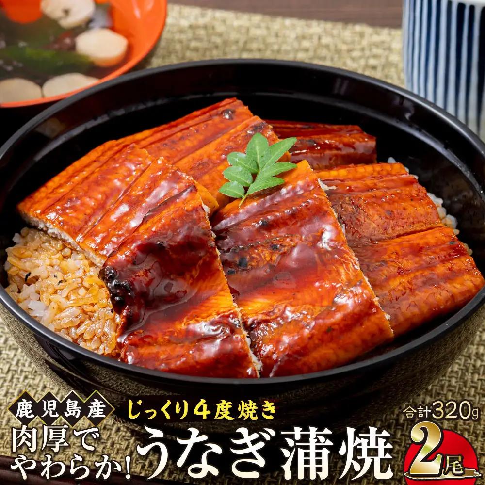 うなぎ 蒲焼 160g×2尾【鹿児島産】地下水で育てた絶品鰻｜うなぎ