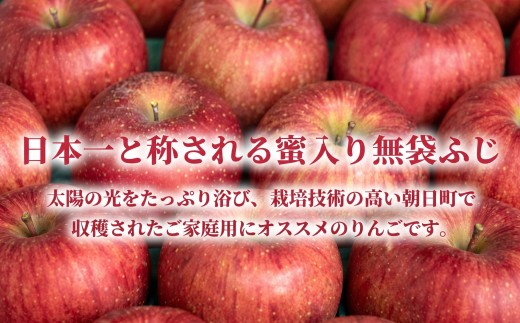 画像は箱詰め（10kg)イメージです。